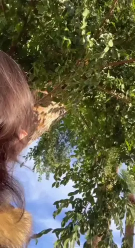 #niche #fypシ゚viral #aesthetic #nature #moots 