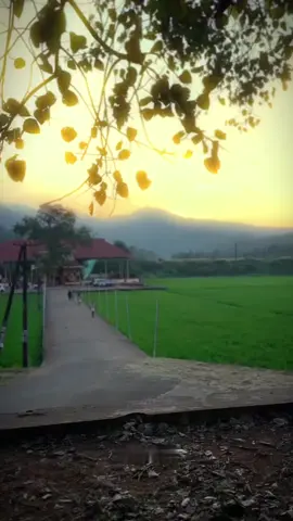 സ്വാമിയേ..... 🙏