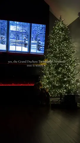 🪄✨#cristmas🎄 #navidad #2025#homedepotchristmastree #grandduchessbalsamfir 