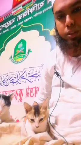 ওরা খুব মায়ার