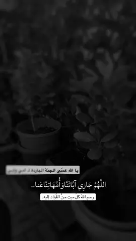 #CapCut #جعل_الجنة_دارك_ياابوي #جعل_الجنة_دارك_ياأمي #اكسبلور_ابوظبي_الامارات #الشارقة_الإمارات 