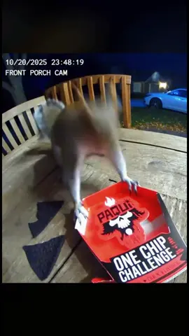 Animals tries spicy food 🥵 . . #viral #fyp #funnytiktok #spicy #sora2 