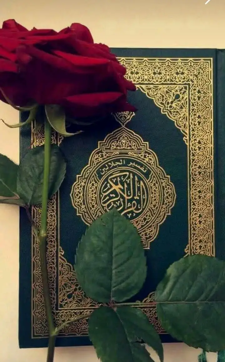 #الكران_الكريم🙏💜_اللهم_حسن_الخاتمه #الكران_الكريم🙏💜_اللهم_حسن_الخاتمه #الكران_الكريم🙏💜_اللهم_حسن_الخاتمه #الكران_الكريم🙏💜_اللهم_حسن_الخاتمه #الكران_الكريم🙏💜_اللهم_حسن_الخاتمه 