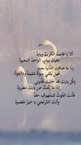 ألا يَا قاصدَ الكَريمُ وبابهُ       عَليك بباب الواحدُ المعبودُ  إذَا ما ضَاقت الدُنيا بعبدٍ       فَهل يَلقي سِواهُ شفيعاً وذاجودُ  وَقُل ياربُ قد خَابت ظُنوني       إذَا ما كُنتُ عن بابكَ مَطرودُ  فَأنت الغَوثُ للملهوفِ حقاً       وأنتَ المُرتَجيٰ يا خيرُ مَقصودُ  #اللهم_صلي_على_نبينا_محمد #اقتباسات #عبارات #قصائد 