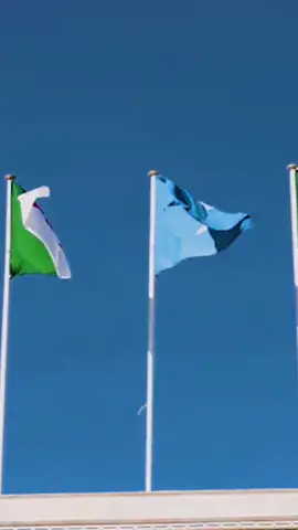 My delegation and I arrived in the Algerian capital, Aljeris, this afternoon, where I received an official invitation from President Abdulmajid Tabuun.#VillaSomalia #DoorashadaDadweynaha #Somalia #Vote #Muqdisho 