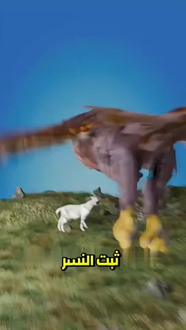 #قصص #shorts #foryou #متابعه_ولايك_واكسبلور_احبكم #hassanshady 