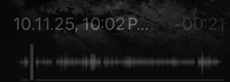 #عبدالرحمن_ال_نجم #بدون_موسيقى #4u #fyp #z5o7r 