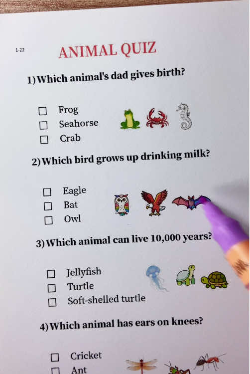 Animal quiz #quiz #quiztime #animals #animal 