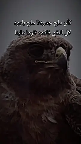 #قصيدة_شعر_أبيات #قصايد_شعر #قصيده_شعر_بوح_خواطر #اكسبلوررررررر @شـ๋͜ــٰــُٰــجاع 𓅔 