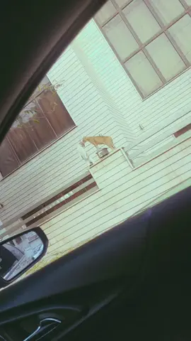 شەڕ قەت تەواو نابێ ههههه  #foryoupage #foryou #slemani #kurdistan 