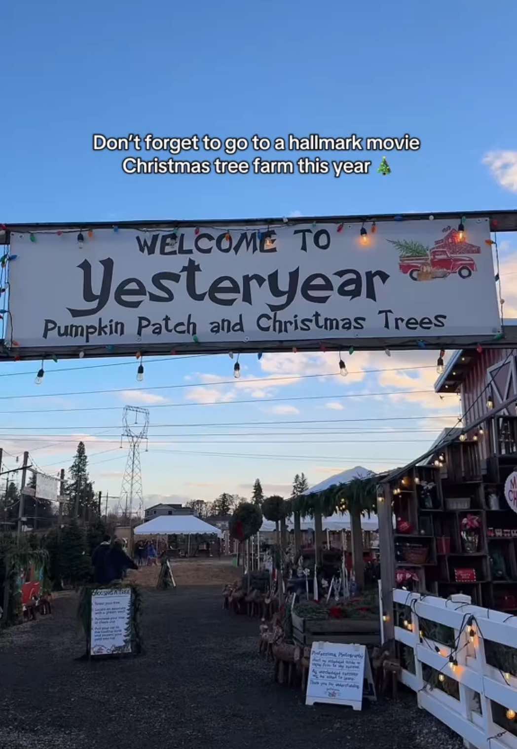 Seriously is a hallmark movie! #yesteryearfarms #christmastreefarm #treefarm #newmom #MomsofTikTok 