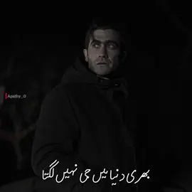 ہر وہ شخص جو ایک عدد بوجھل دل کے ساتھ خاموشی اختیار کر چکا ہے اسے کہو کہ ایک دن سب ٹھیک ہو جائے گا۔ 🍂 #ghazal #urduadab #ghulamali #AM #unfrezzmyaccount 