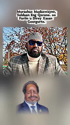 Suldaan Soomali Maantay, Adaa Samata bixin kara. #reercaligeedi💸👑📚 #xarfosultanate⚔️🚬🦁 #ppppppppppppppppppppppp #fyp #foryoupage 