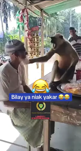 #foryoupage❤️❤️ #fyp #pourtoi 