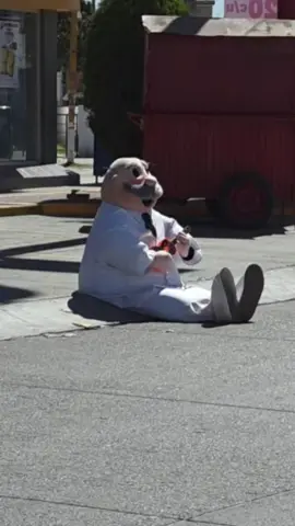 krnal pulpo, te prometí no llorar🥀🗣 @dr_simi_creacion_oficial  #calle #drsimi #patati 