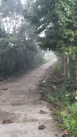 နမ္မတီးကျောက်တောင်နေထွက်ချိန်လေး🌄💕 #fyppppppppppppppppppppppp #နမ္မတီး #မင်းတို့ပေးမှ❤ရမဲ့သူပါကွာ #ဆယ်လီမှအသဲပေးတာလား😔😑 #tiktokmyanmar 