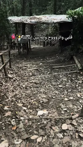 #500k #trend #explore #mi #70s 