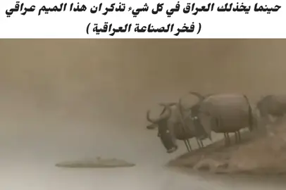 حقيقة للذروة 