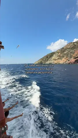 - Св. Паисий Светогорец ☦️