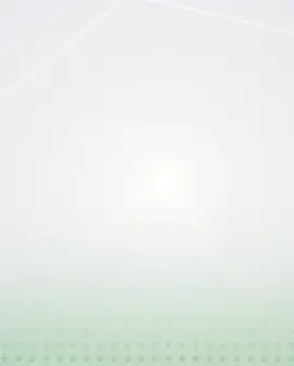 تحالف العزم ٢٤١ .. لن نخذلكم