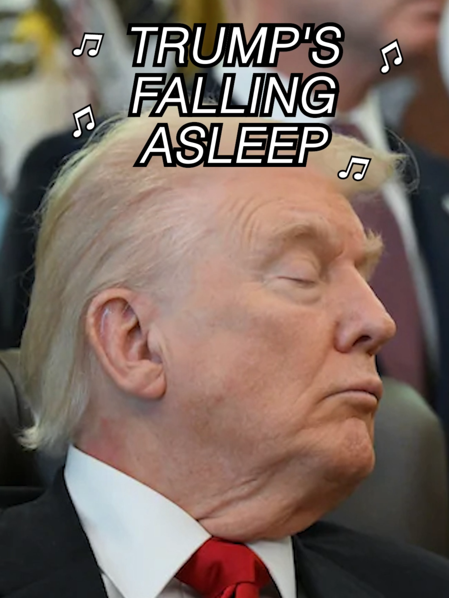 Big Donald loves catchin' Z's #countrymusic #countrysongs #DonaldTrump #TrumpSong #ebaumsworld