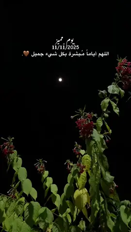 🤎🤎🤎🤎🙂🙂🙂🤎#يوم #مميز #تاريخ #تحقيق #explore🐼🤎🙂. 