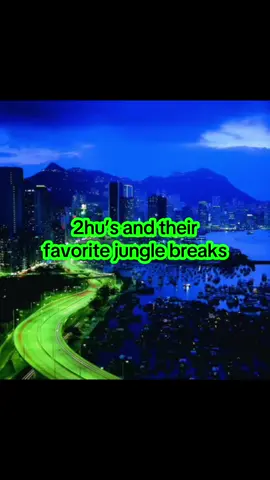 2hu’s and their favorite breaks  WhatsApp uhuhu #fyp #touhou #touhouproject #ilovemywife #junglemusicforever 