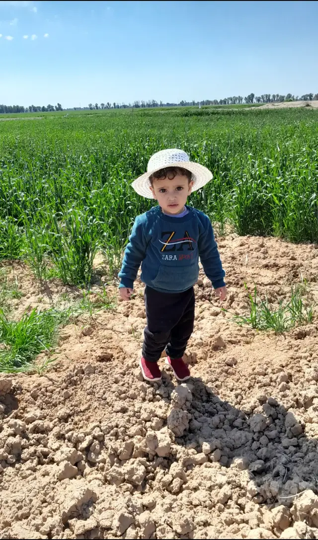 #الضلوعيه #صلاح_الدين #العراق 