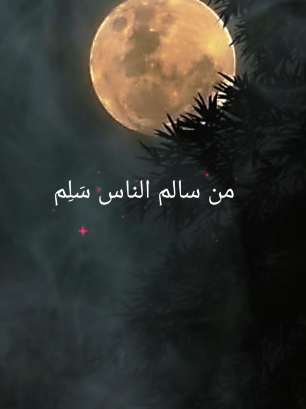 #من_سالم_الناس_سلم #أناشيد_بدون_موسيقى #نشيد #بدون_موسيقى #اكسبلورexplore 