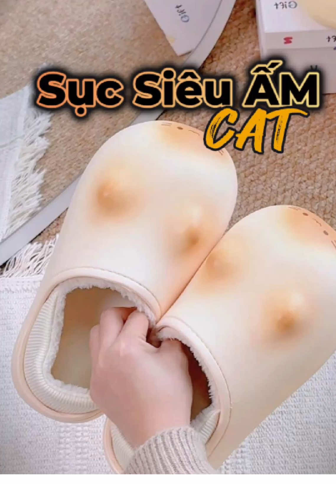 Ê dễ thương quá vậy #quyseounbox #succonmeo #success #suclotlong #suc 