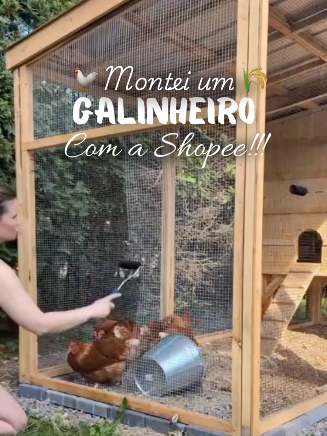🏡🐓 Meu cantinho das galinhas ficou pronto! Usei a tela da Shopee e ficou top demais 😍 #galinheiro #shopee #vidanaroca 