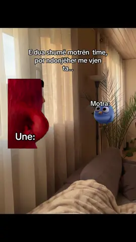 #Meme #MemeCut 🤣🤣🤣🤣🤣@Gjo.ana @Kozeta Picaku #viral #fyp 