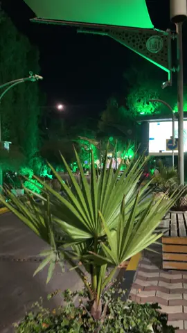 #كربلاء_مدينة_العشق_والعاشقين #باسم_الكربلائي_رادود_ما_له_مثيل 