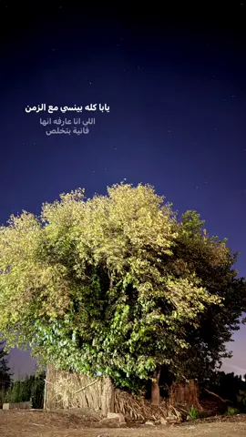 #fypシ゚ #شارع #viralvideo #تصويري📷 