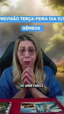 #PREVISÃO TERÇA-FEIRA DIA 11/11 #signos #horoscopo #tarot #gemeos 
