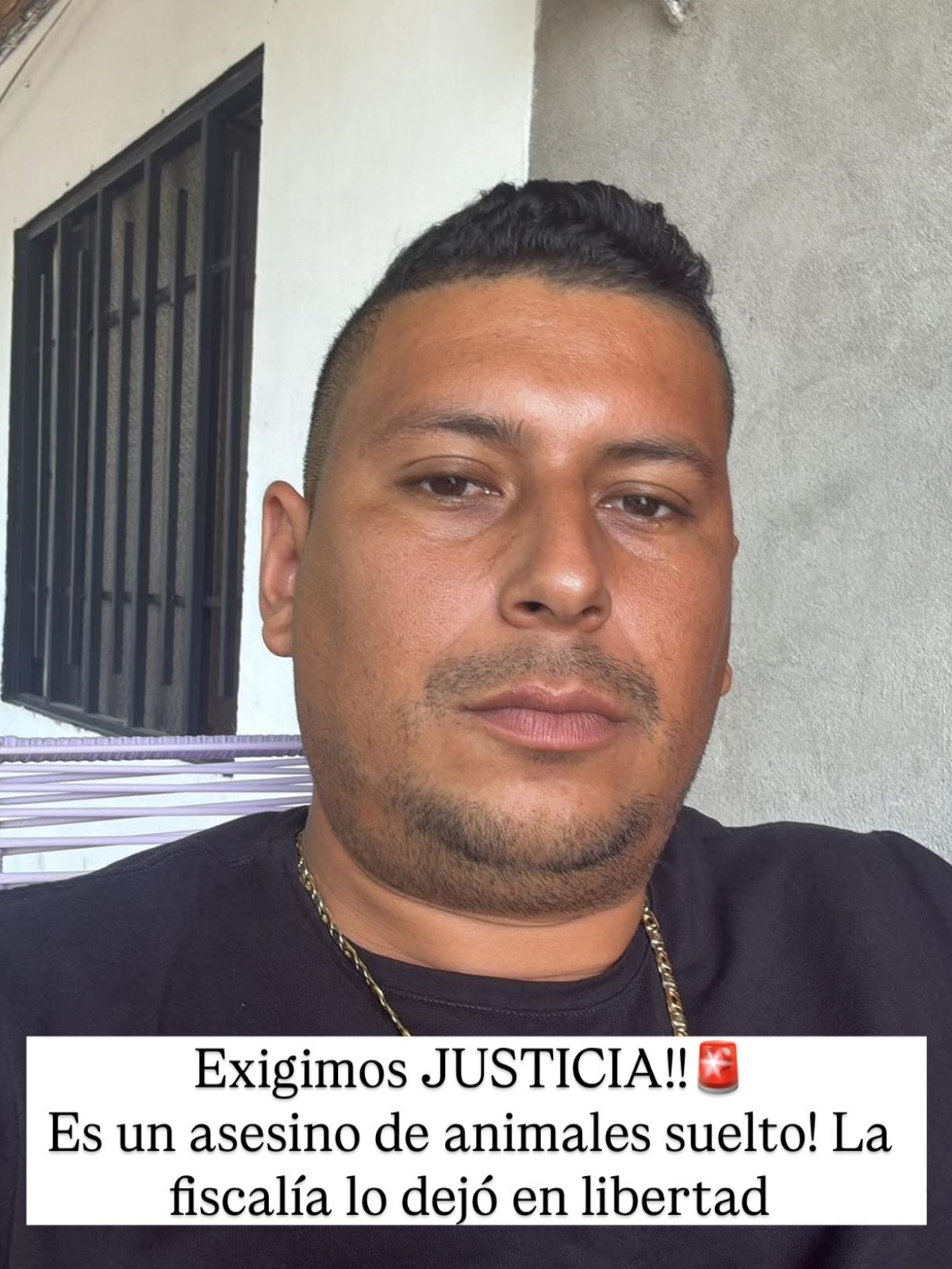 FERNANDO OVIDEO HDPPP QUE GOLPEO A PERRITO ESTA LIBRE  #RCN #petro #presidente #caracol #escandalotv #mpiwhite