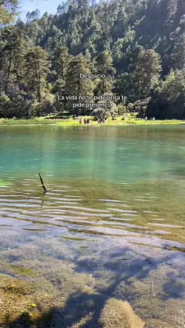 #lagunamagdalena #lagunas #naturaleza #paisajes #viajandoporguate 