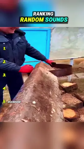 #asmrsounds #asmr #ranking #top10 