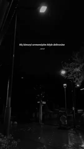 Hiç kimseyi sevmemiştim, böyle delircesine..