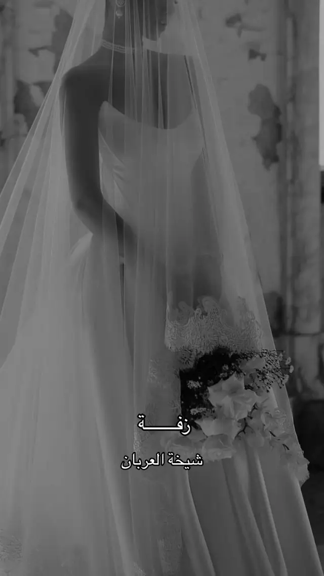 #زفه_عروسه #زفات_ماجد_المهندس_بدون_حقوق #زفات_راشد_الماجد_بدون_حقوق #زفات_2024_محمد_عبده #حسين_الجسمي #زفه_بدون_موسيقى 