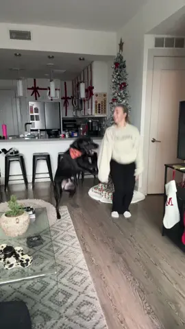 2024 draft, he loved or hated? this trend lmao 