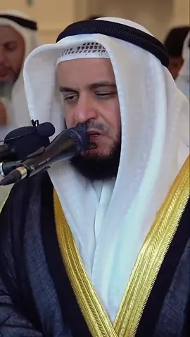 هدووء العفاسي #مشاري_العفاسي #اكتب_شي_توجر_عليه #اجر_لي_ولكم #قران_كريم #خشوع 