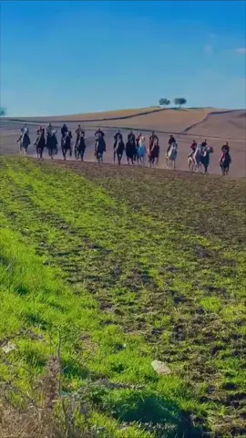 الجزائر(ولاية تيارت)#fouryou #الجزائر #tik_tok #explore #الجزائر_تونس_المغرب 