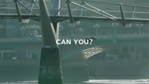 Over 10,000 years of service, loyalty, and companionship. Over 100 years of abandonment, neglect, and cruelty.  #dragpath #pigeon #pigeons #twentyonepilots #tøp 