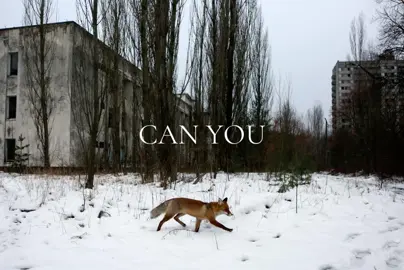 the abandoned pets of Chernobyl get me every time #dragpath #pufferfish #dragpathedit #tøp #tøpedits 