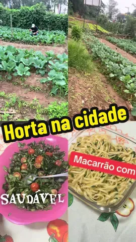 #hortanacidade #viralizar 