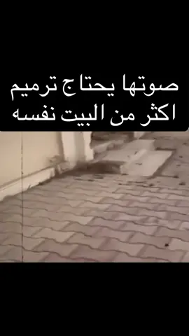 #اكسبلورexplore_ 