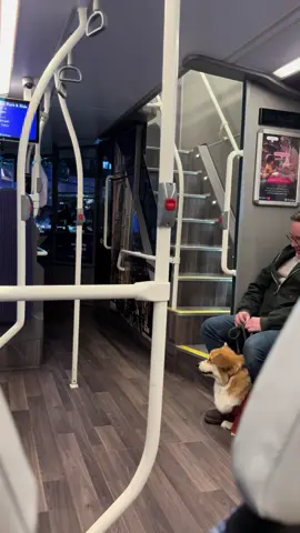 The coolest bus driver getting a bunch of strangers singing together after a long night in York @First Bus Official #bus #singing #foryoupage #fyp #following 