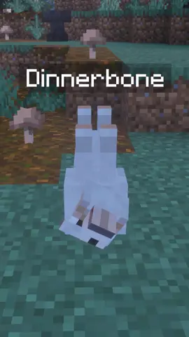 POV: you're named Dinnerbone #Minecraft #minecraftmemes