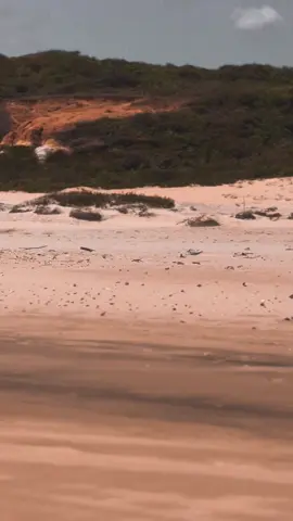 #CapCut #rotadasemoções #passeio #fyp #kitetrip 